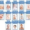 1st Birthday Bunting Garland Baby Photo Blue Banner Baby 1-12 Month Photo Prop Party Bunting D?cor BLUE - Pack of 1