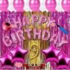 Girl ninth/9th happy birthday PINK combo/kit for party decorations  (Set of 73)