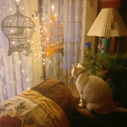  String Light Battery Powered Decorative Copper Wire LED Warm White Fairy Light for Outdoor/Indoor Wedding Christmas Festive Decoration (5 Meter) - Image 5