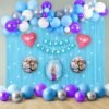  Frozen Theme Happy Birthday Decoration Kit for Girls with Blue Fringe Curtains, Fairy Lights, Blue, White, Silver, Purple Balloons and Frozen Foil Balloon Set- Set of 67 Items